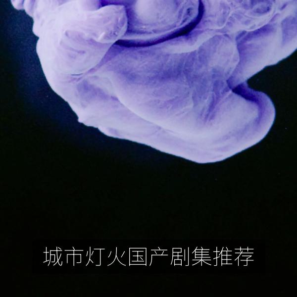 城市灯火国产剧集推荐